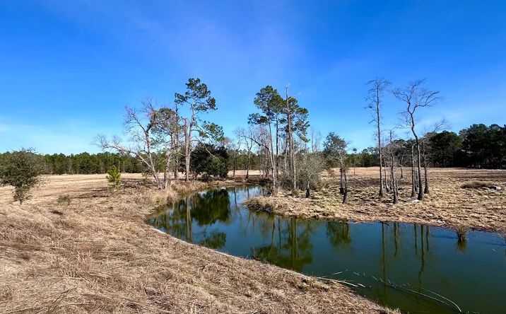 Pictures of Land property located at 1399 Wildwood Church Rd, Pembroke, GA 31321 for sales - image #1