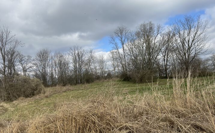 Pictures of Land property located at 915 1st Ave, Mount Pleasant, TN 38474 for sales - image #1