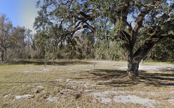 Pictures of Land, Mixed Use property located at 275 US-17, East Palatka, FL 32131 for sales - image #1