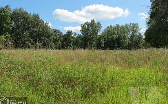 Pictures of Land property located at 0 Highway 65 N, Hampton, IA 50441 for sales - image #1