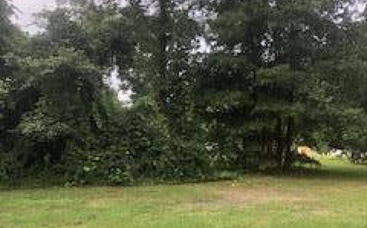Pictures of Land property located at 1140 N Guignard Dr, Sumter, SC 29150 for sales - image #1