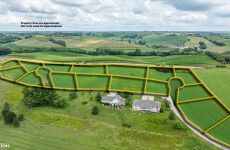 21886580