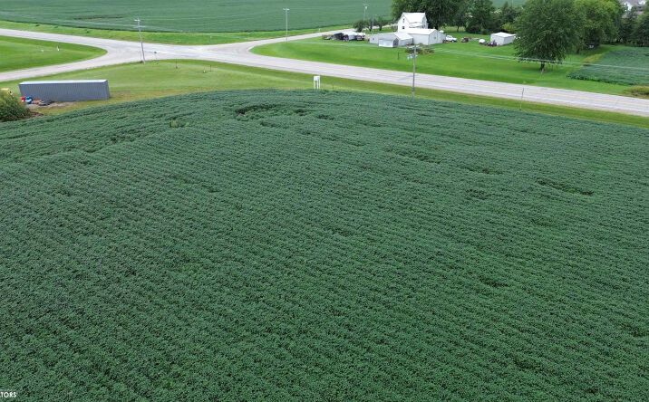 Pictures of Land property located at 22584 160th Street, Bloomfield, IA 52537 for sales - image #1