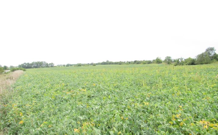 Pictures of Land property located at 72 A 70th Street, Clio, IA 50052 for sales - image #1