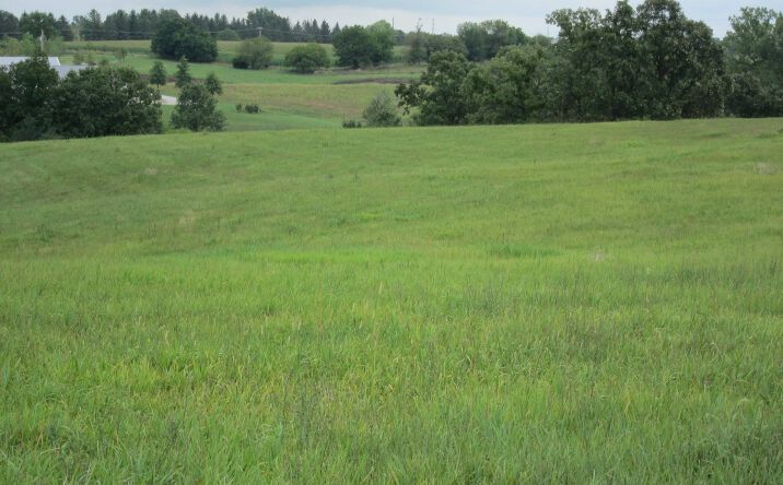 Pictures of Land property located at XX Rural Route, Chariton, IA 50049-8385 for sales - image #1