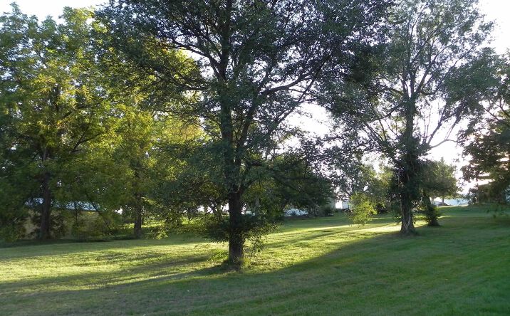 Pictures of Land property located at 106 Tinder Street, Bedford, IA 50833 for sales - image #1