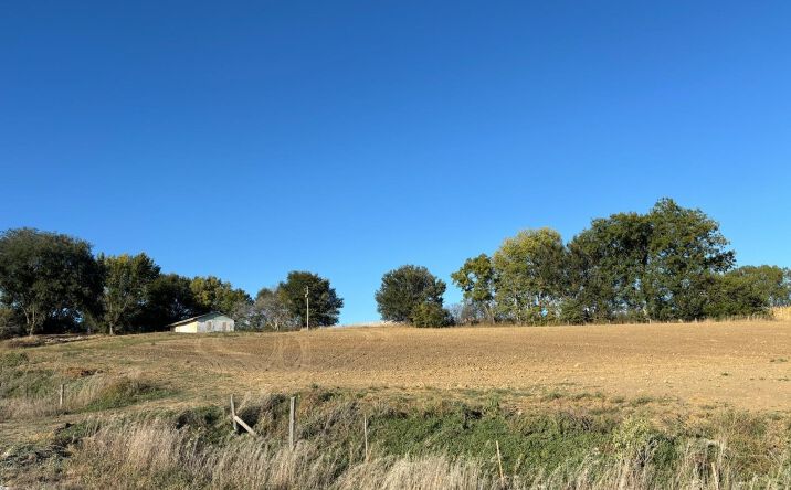 Pictures of Land property located at 2386 O Avenue, Denison, IA 51442 for sales - image #1
