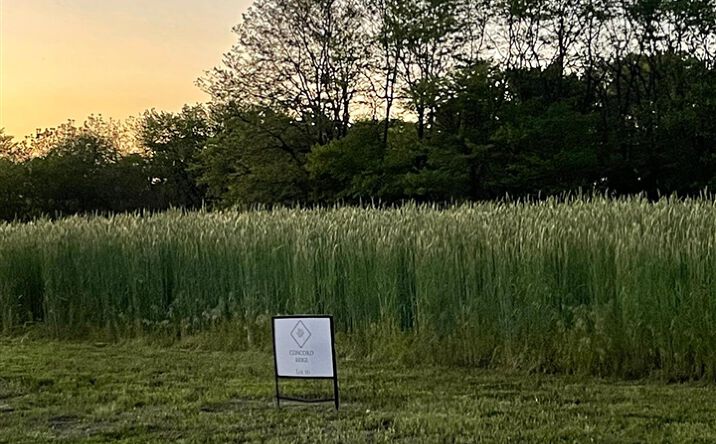 Pictures of Land property located at 4006 Concord Lane, Wapello, IA 52653-9169 for sales - image #1