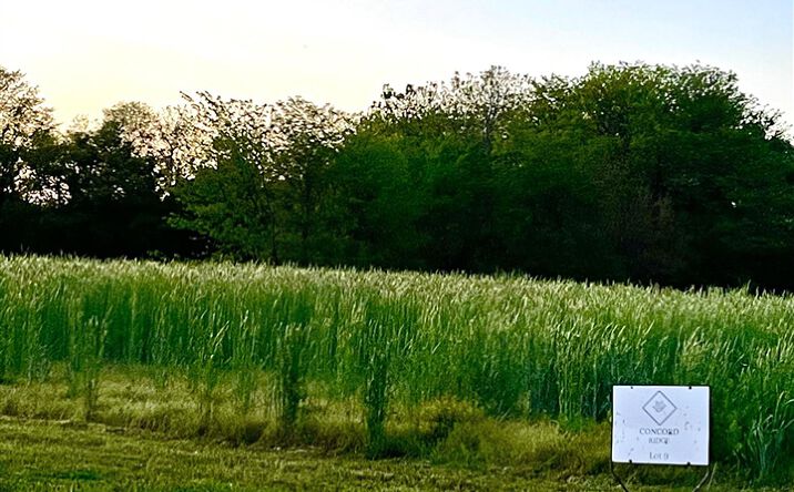 Pictures of Land property located at 4008 Concord Lane, Wapello, IA 52653-9169 for sales - image #1
