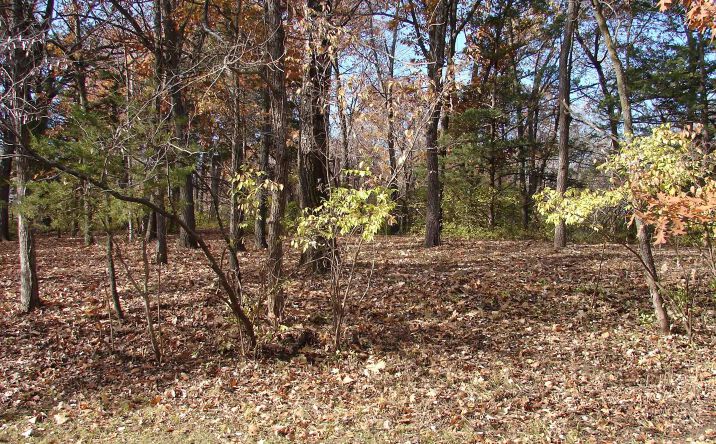 Pictures of Land, Special Purpose property located at Lot 4 S Hoaglin Drive, Mount Pleasant, IA 52641 for sales - image #1