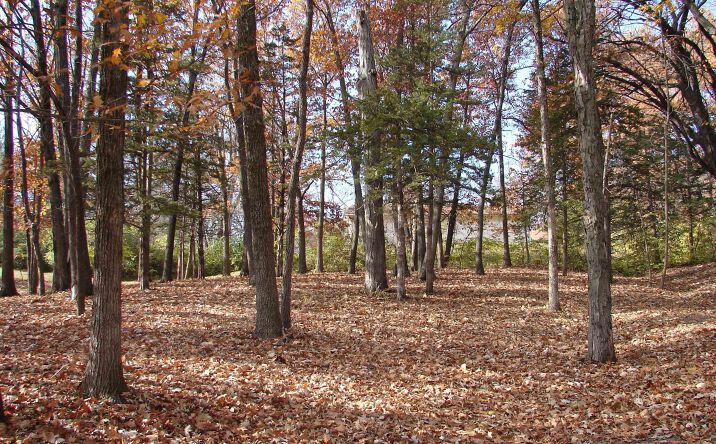 Pictures of Land, Special Purpose property located at Lot 3 S Hoaglin Drive, Mount Pleasant, IA 52641 for sales - image #1