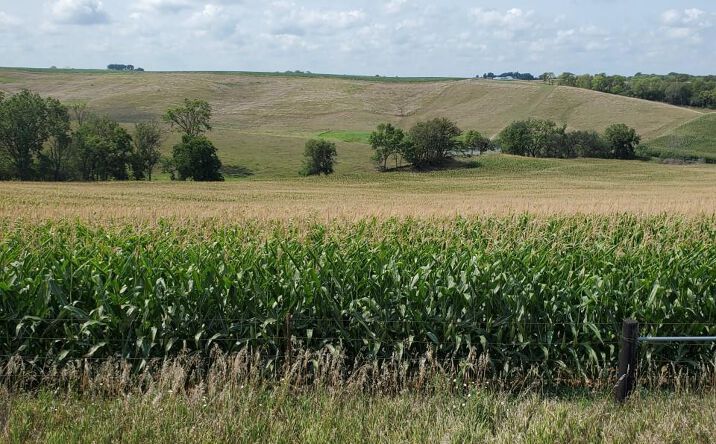 Pictures of Land, Special Purpose property located at Lot 9 Donna Reed Road, Denison, IA 51442 for sales - image #1