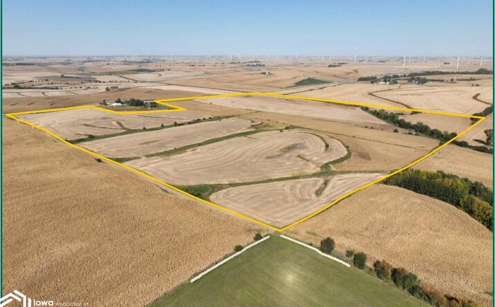 Pictures of Land property located at 110th Ave. at 110th St., Gibson, IA 50104 for sales - image #1
