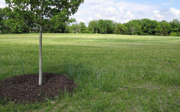Pictures of Land, Special Purpose property located at 1014 Palisades Court, Iowa Falls, IA 50126 for sales - image #1