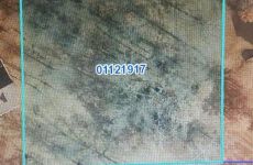 21930394