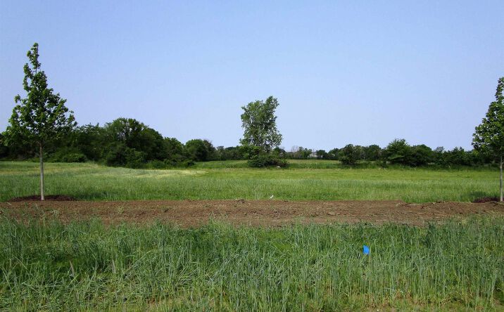 Pictures of Land, Special Purpose property located at 1015 Palisades Court, Iowa Falls, IA 50126 for sales - image #1