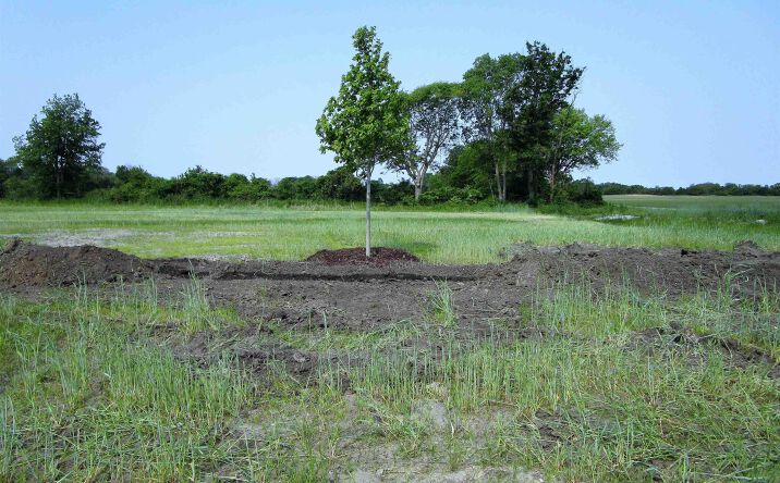 Pictures of Land, Special Purpose property located at 1021 Palisades Court, Iowa Falls, IA 50126 for sales - image #1