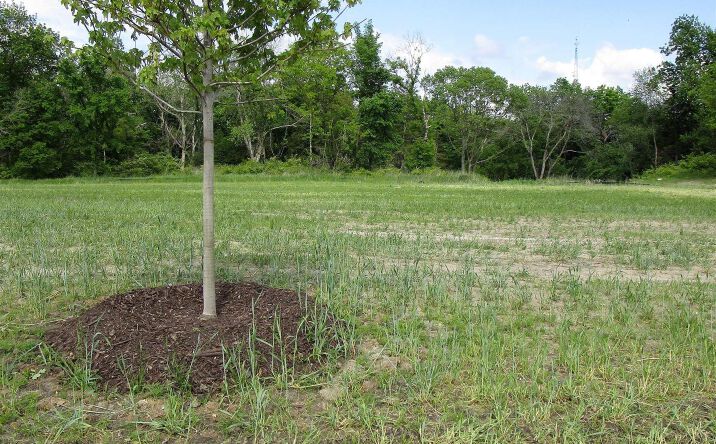 Pictures of Land, Special Purpose property located at 1006 Palisades Court, Iowa Falls, IA 50126 for sales - image #1