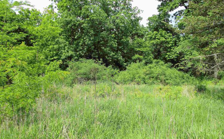 Pictures of Land, Special Purpose property located at 1008 Palisades Court, Iowa Falls, IA 50126 for sales - image #1