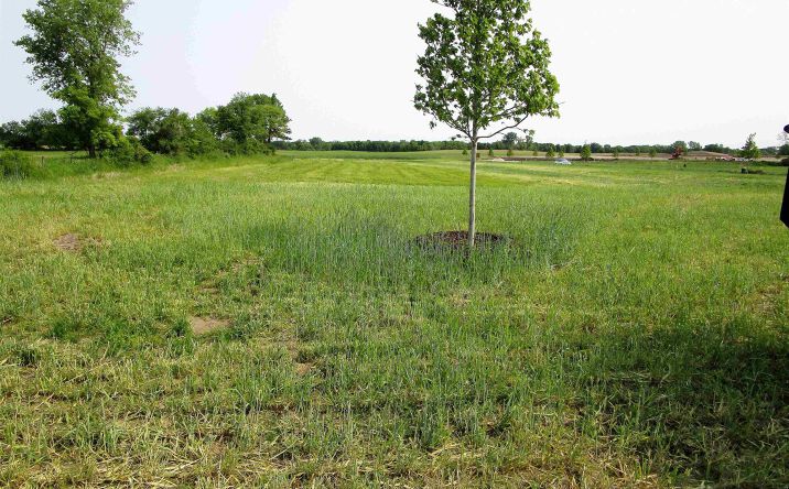Pictures of Land, Special Purpose property located at 2510 Kenison Way, Iowa Falls, IA 50126 for sales - image #1