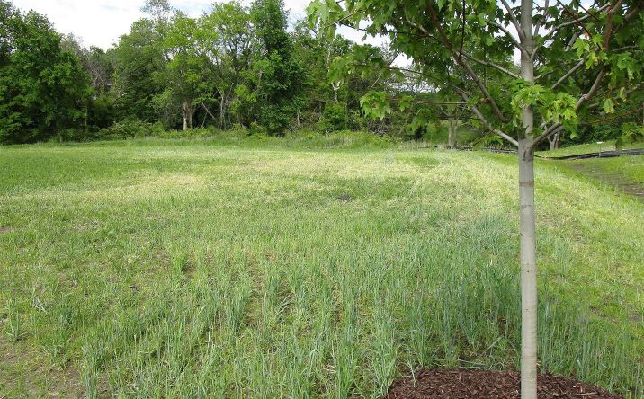 Pictures of Land, Special Purpose property located at 1004 Palisades Court, Iowa Falls, IA 50126 for sales - image #1