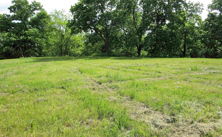 Pictures of Land, Special Purpose property located at 1013 Palisades Court, Iowa Falls, IA 50126 for sales - image #1