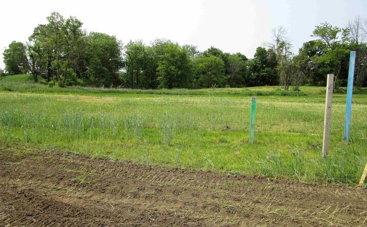 Pictures of Land, Special Purpose property located at 1009 Palisades Court, Iowa Falls, IA 50126 for sales - image #1