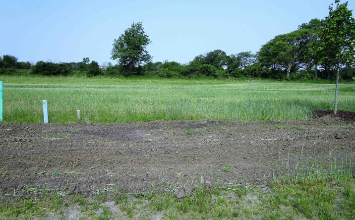 Pictures of Land, Special Purpose property located at 1017 Palisades Court, Iowa Falls, IA 50126 for sales - image #1