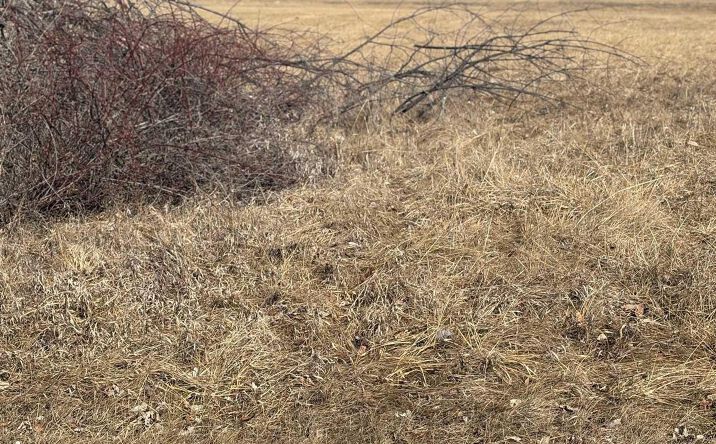 Pictures of Land property located at 11 Riverview Terrace, Nauvoo, IL 62354 for sales - image #1