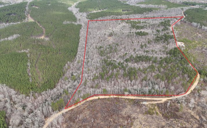 Pictures of Land property located at County Road 325, Hamilton, AL 35570 for sales - image #1