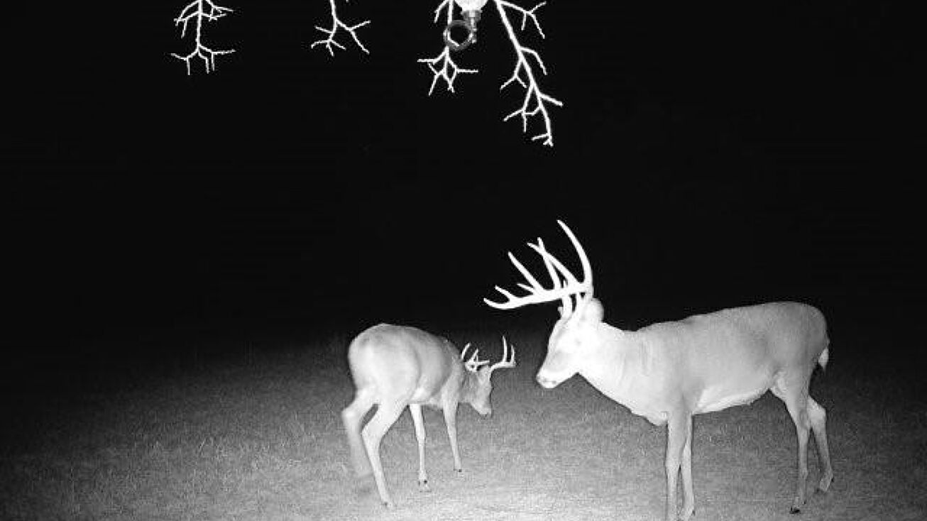 500th-road-kincaid-ks-66039-crexi