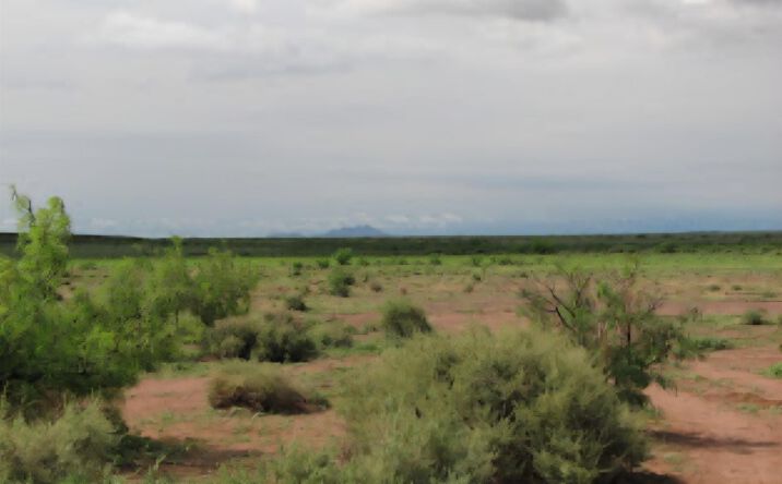 Pictures of Land property located at XXX Country Rd Se, Deming, NM 88030 for sales - image #1