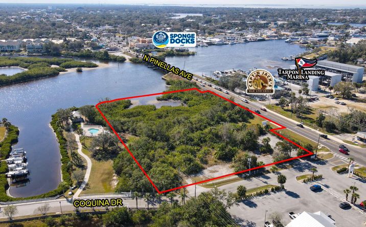 Pictures of Land property located at N Pinellas Ave, Tarpon Springs, FL 34689 for sales - image #1