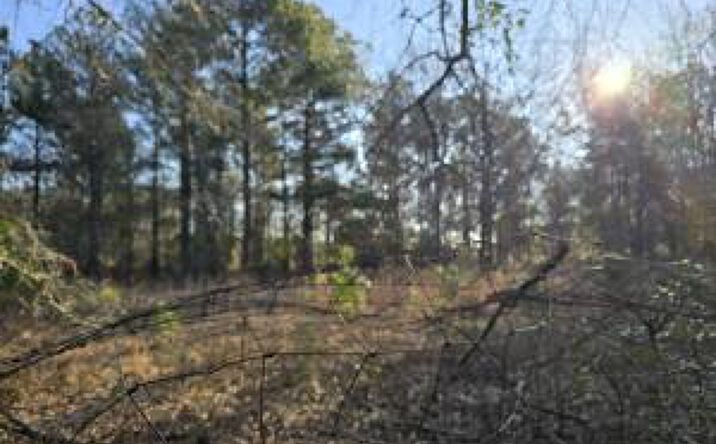 Pictures of Industrial, Land property located at 000 Sc-64, Barnwell, SC 29812 for sales - image #1