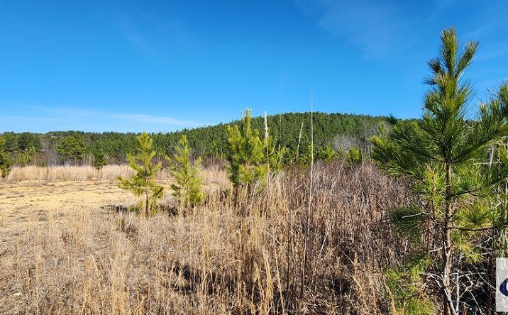 Pictures of Land property located at 000 Old Sh 69, Sugar Tree, TN 38380 for sales - image #1
