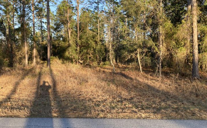 Pictures of Land property located at SE 125th Ct, Dunnellon, FL 34431 for sales - image #1