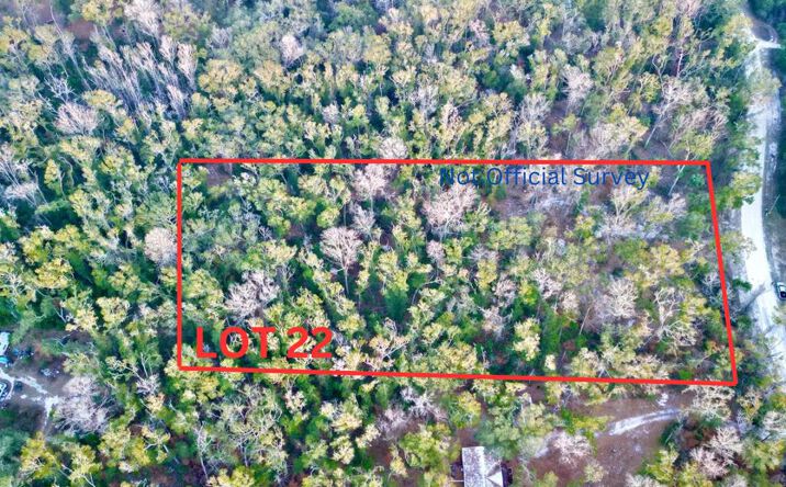Pictures of Land property located at lot 22 NE 173rd Ave, Old Town, FL 32680 for sales - image #1