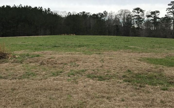 Pictures of Land property located at 0 Whispering Lane Lot 59, Poplarville, MS 39470 for sales - image #1