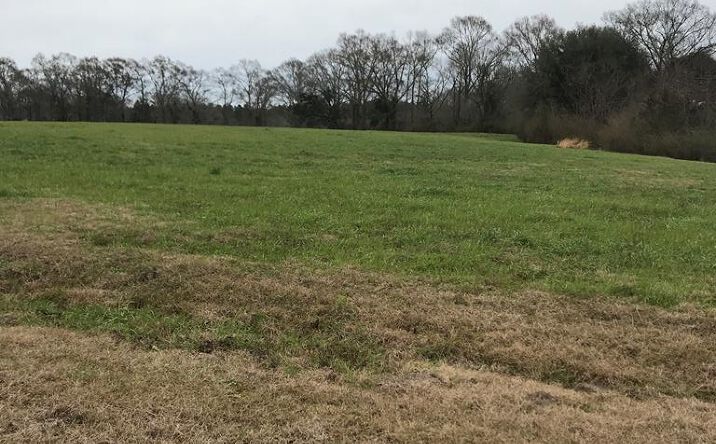 Pictures of Land property located at 0 Whispering Lane Lot 58, Poplarville, MS 39470 for sales - image #1
