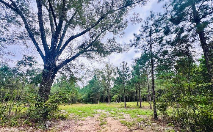 Pictures of Land, Multifamily property located at 21.41 Egg Farm Road Extension, Poplarville, MS 39470 for sales - image #1