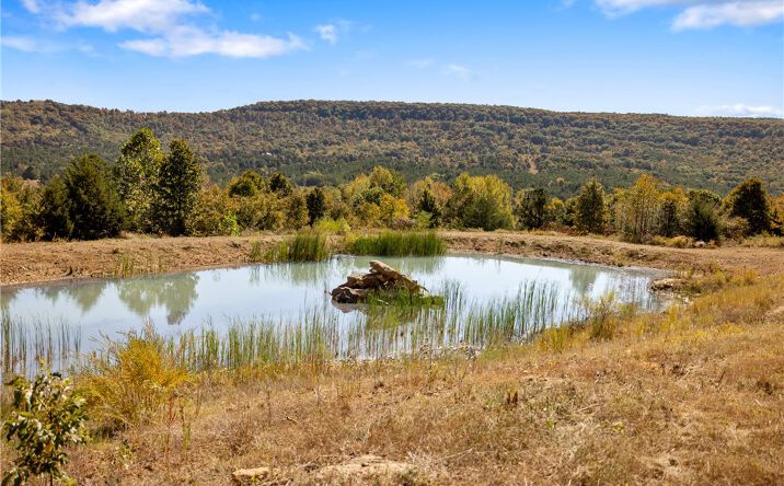 Pictures of Land property located at 86 Lots Round Mountain Estates, Harrison, AR 72601 for sales - image #1