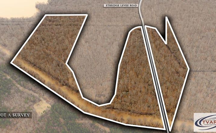 Pictures of Land property located at 0 Ethridge Levee Rd., Greenfield, TN 38230 for sales - image #1