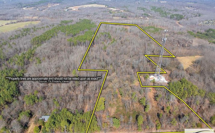 Pictures of Land property located at 000 Highway 54, Paris, TN 38242 for sales - image #1