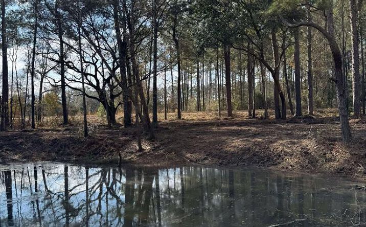 Pictures of Land, Multifamily, Special Purpose property located at 152 George Ford Rd., Carriere, MS 39426 for sales - image #1