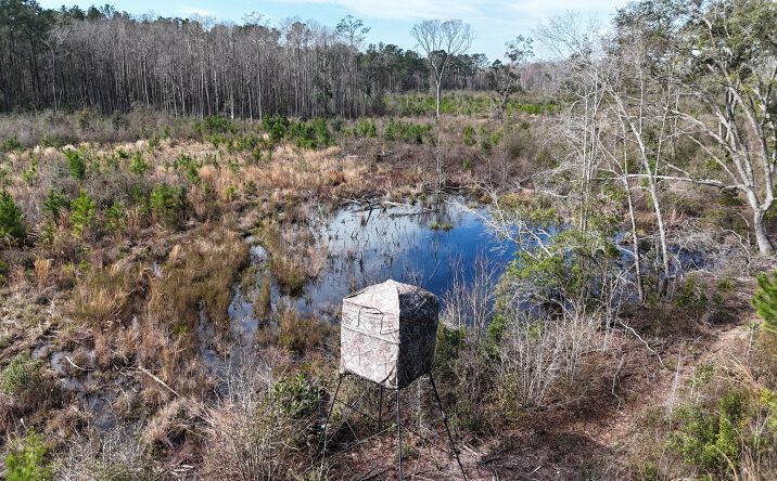 Pictures of Land property located at Aucilla Rd, Monticello, FL 32344 for sales - image #1