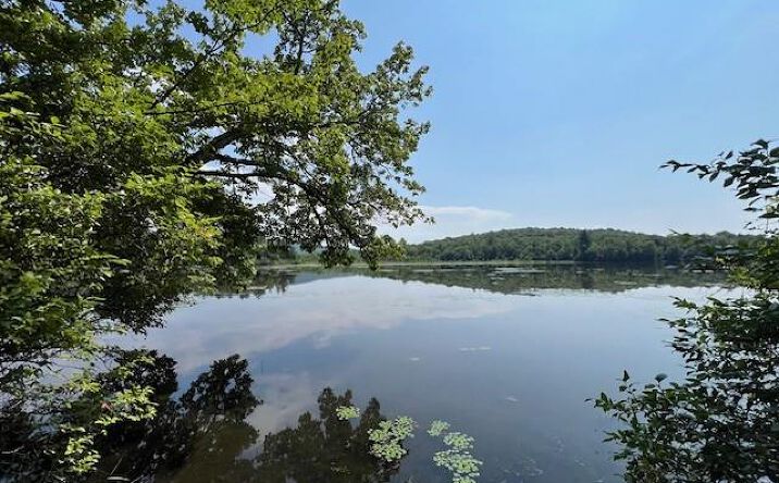 Pictures of Land property located at Shore Rd, Swan Lake, NY 12783 for sales - image #1