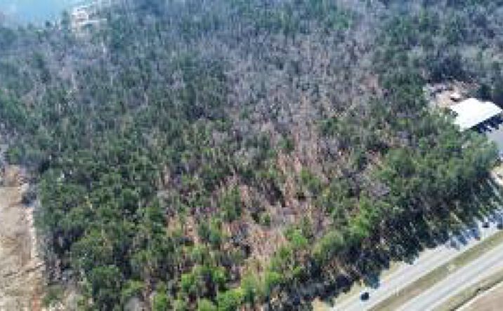 Pictures of Land property located at 000 Jefferson Davis Highway, Warrenville, SC 29851 for sales - image #1