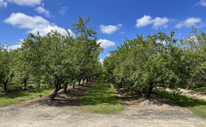 Pictures of Land property located at 28697 Ave 5, Madera, CA 93637 for sales - image #1