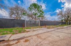 21985069