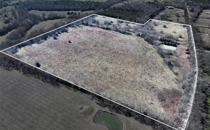 Pictures of Land property located at TBD County Road 4605, Trenton, TX 75490 for sales - image #1